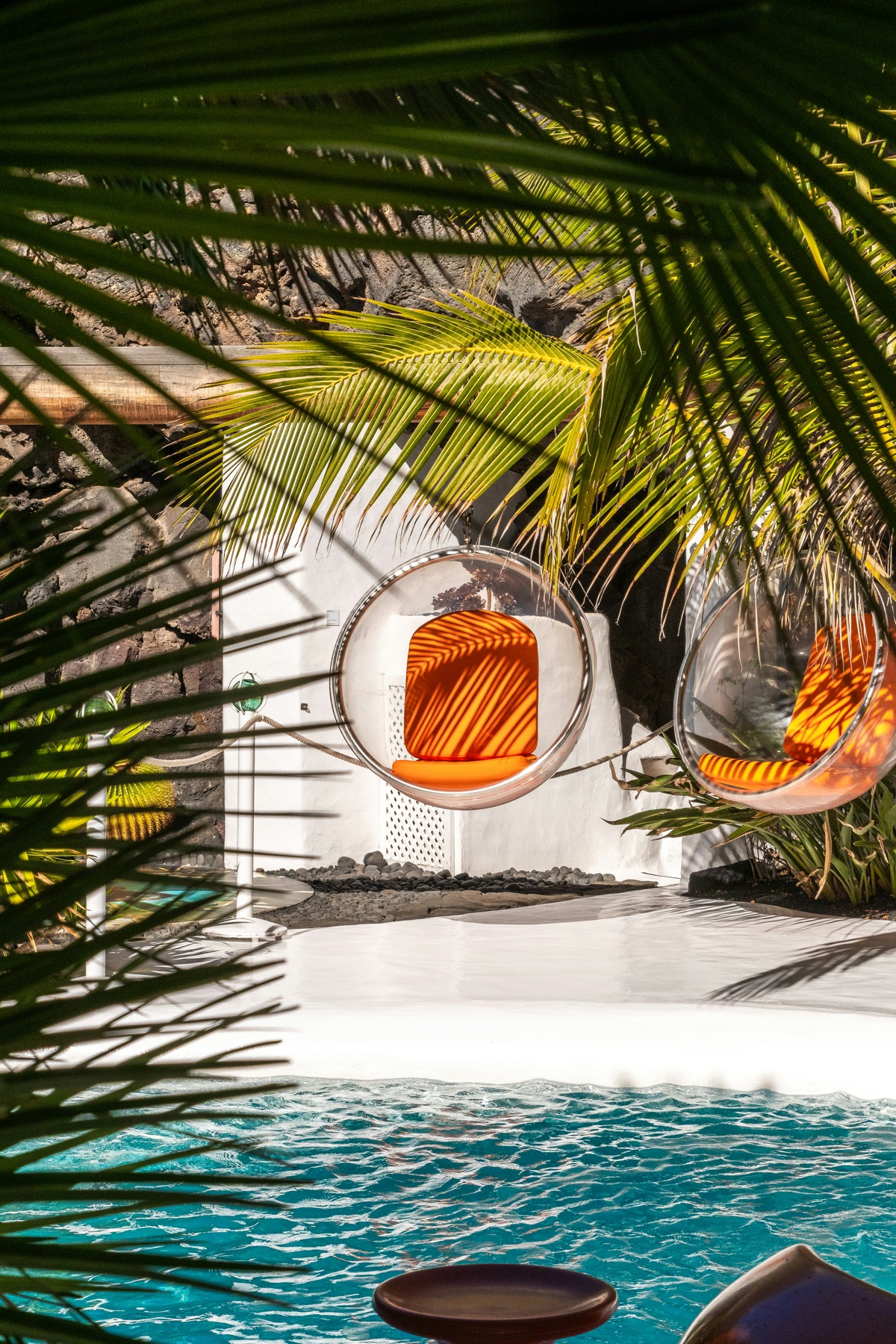 Espacio tranquilo con vegetación y luz natural